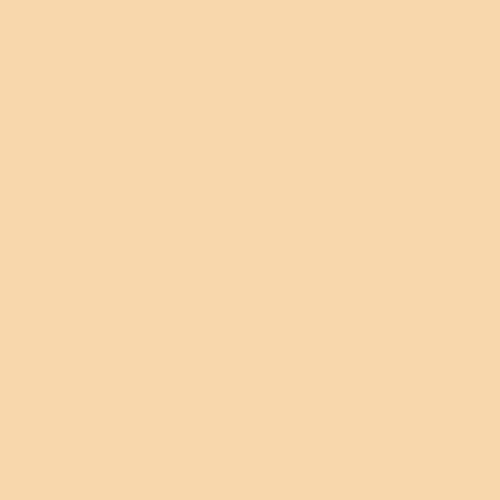 Background Paper