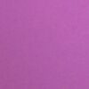 Background Paper