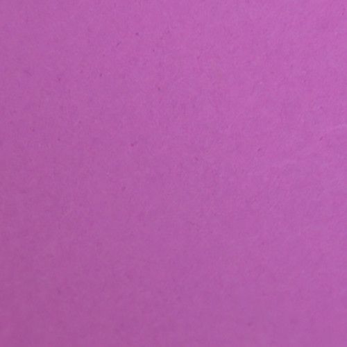 Background Paper