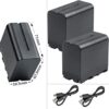 BESTON NP F970-Micro USB Battery for Sony