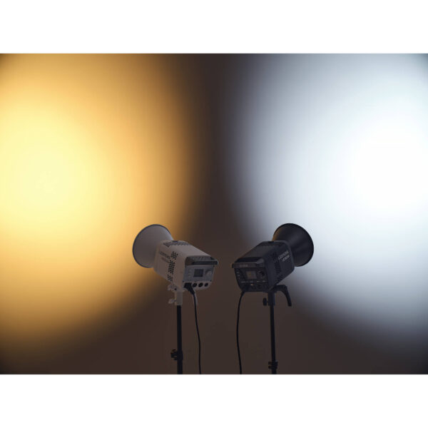 Godox Litemons LE300Bi LED Monolight